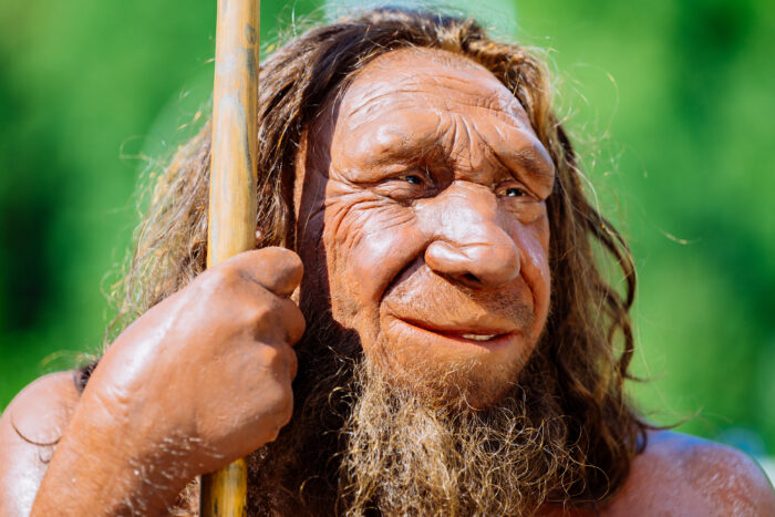Neanderthal man "Mister N", Neanderthal Museum Mettmann, Germany (image credit: Neanderthal Museum / Holger Neumann, 2021)